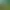 Featured 9104 Studio Ghibli Ai Bilder Kostenlos Erstellen Schritt Fuer Schritt Anleitung Studio Ghibli Stil